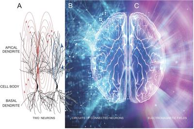 Consciousness and inward electromagnetic field interactions